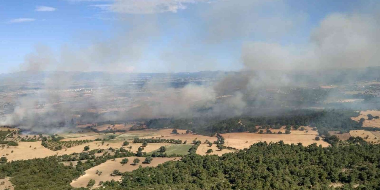 Bayramiç Orman İşletme Müdürlüğü’nden orman yangını uyarısı