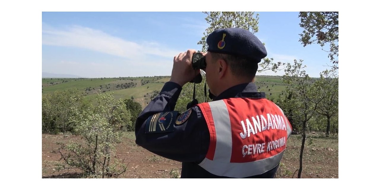 Kırıkkale’de saha denetimi yapan jandarma, avcıları bilgilendirdi
