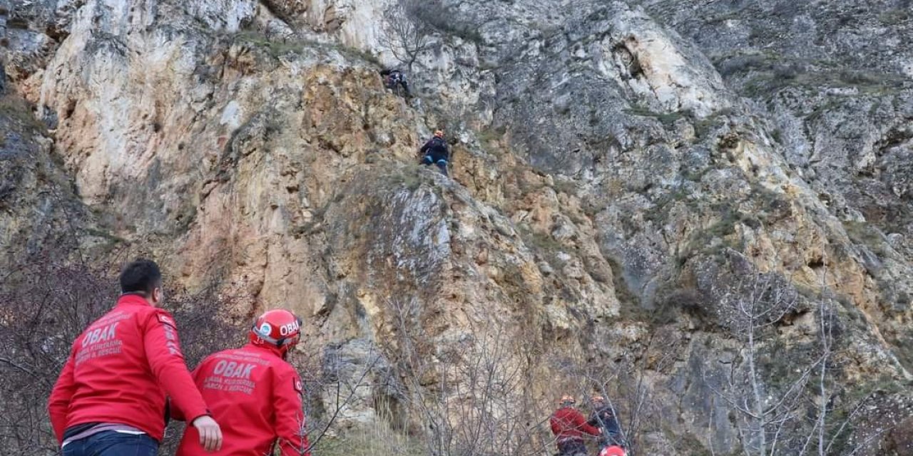 Dağlık alanda mahsur kalan köpek arama kurtarma ekiplerince kurtarıldı