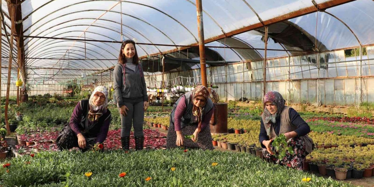 2022 yılında 1 Milyon 250 bin çiçek üretildi