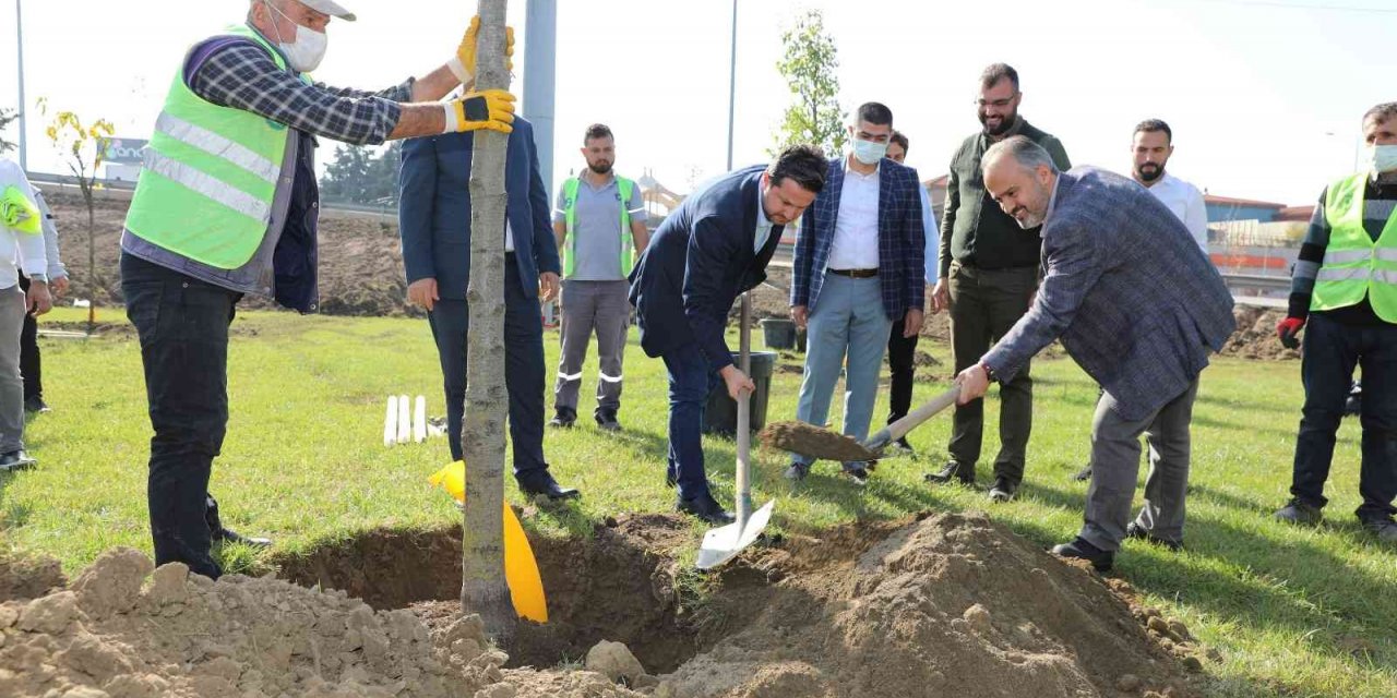 Büyükşehir’le yeniden ‘Yeşil Bursa’