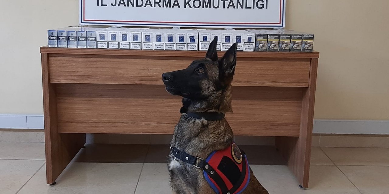 Kahramanmaraş’ta kaçakçılıkla mücadele