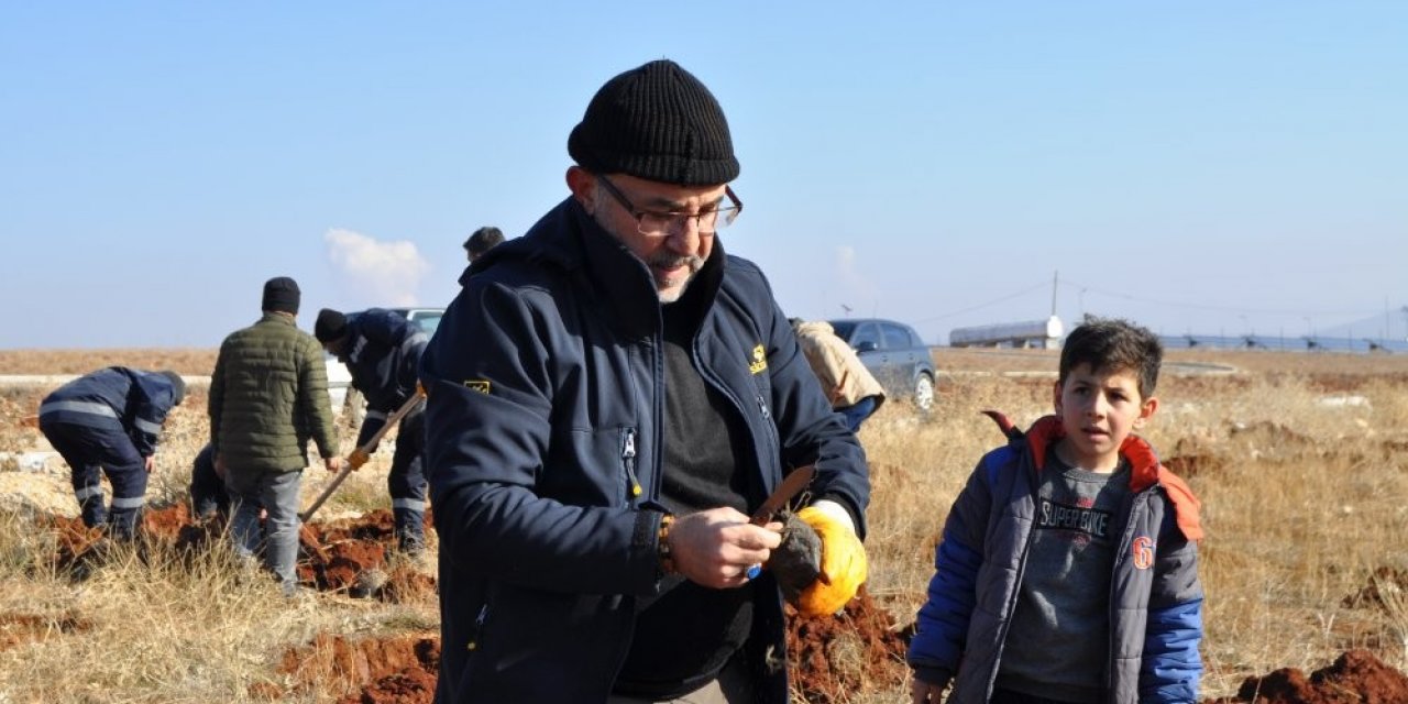 Hedef arıcılıkta verimi artırmak: Lavanta tarlasına bin adet alıç fidanı dikildi