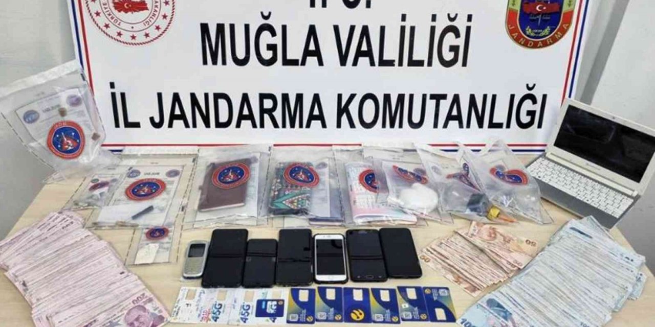 Jandarmadan uyuşturucu ve bilişim dolandırıcılığı operasyonu