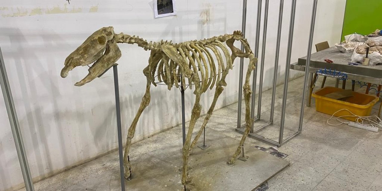 7,5 milyon yıllık tarihi ayaklandırdılar