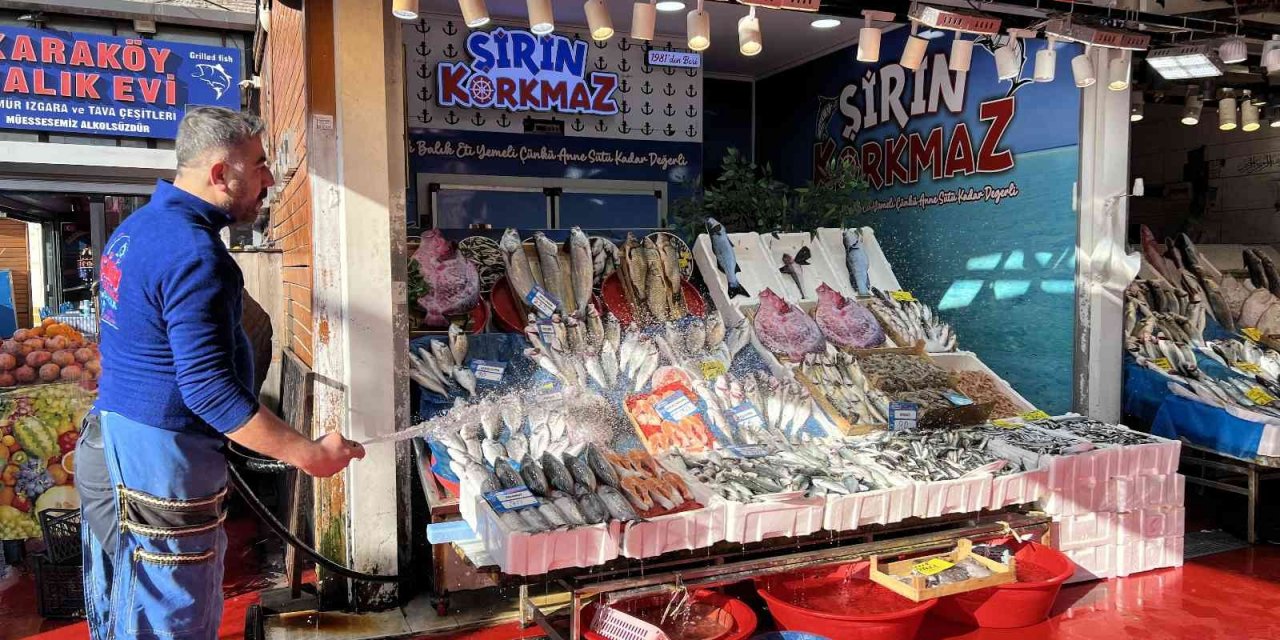 Balık tezgahlarında hamsi bolluğu yaşanıyor