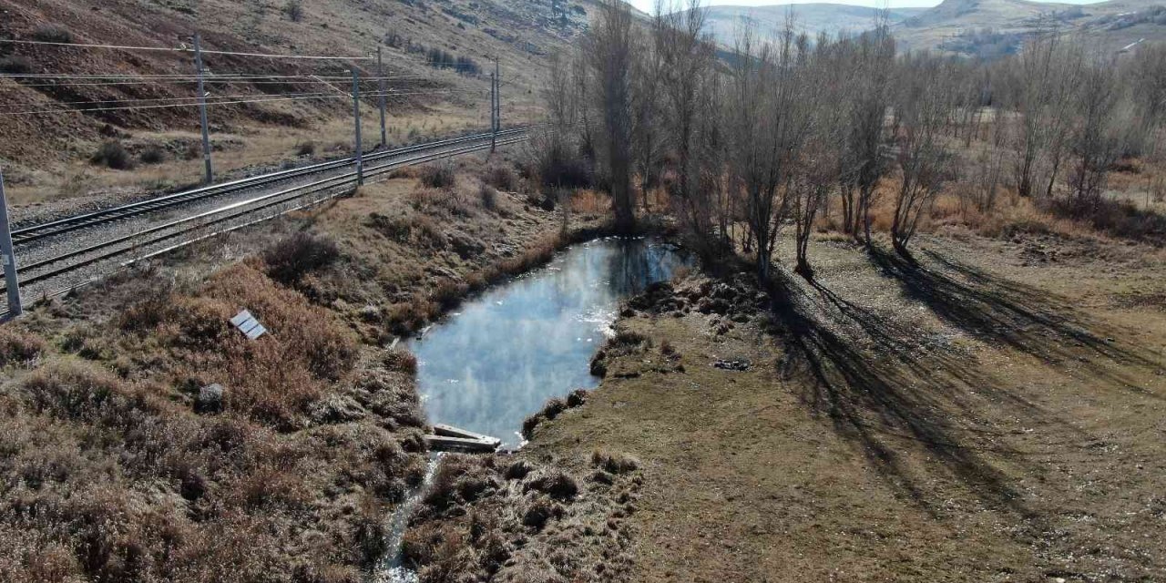 Dünyaca ünlü doktor balıklar yok olma tehdidi altında