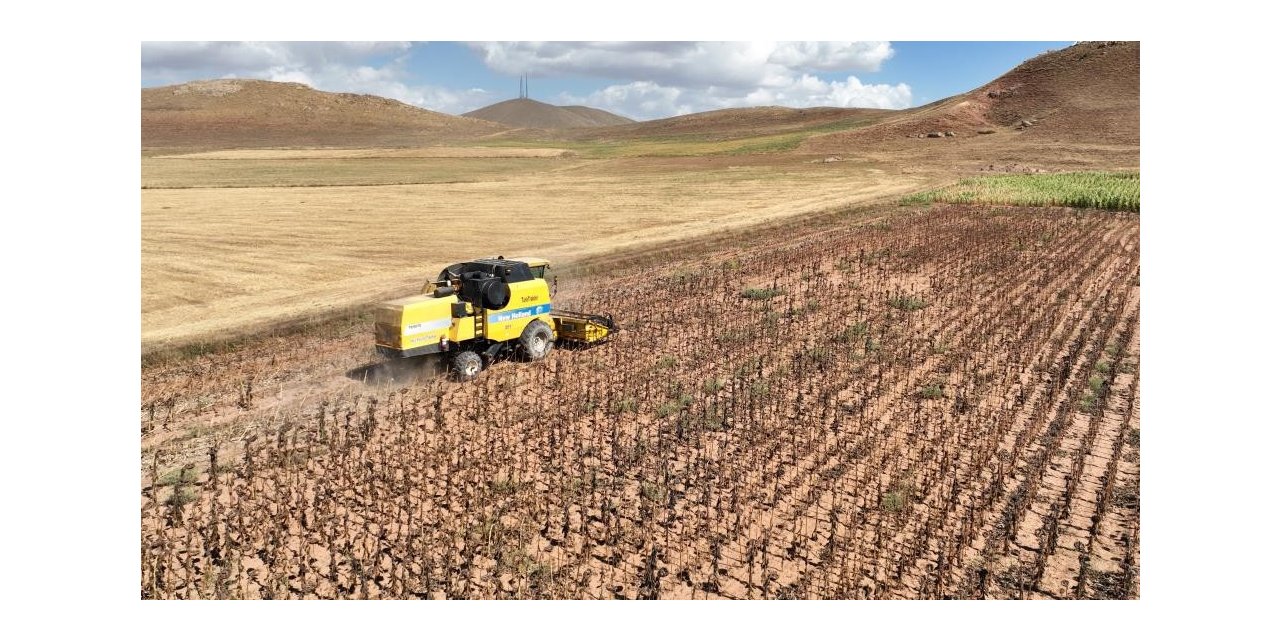 Tarımsal girdi fiyat endeksi bir yılda yüzde 112,41 arttı