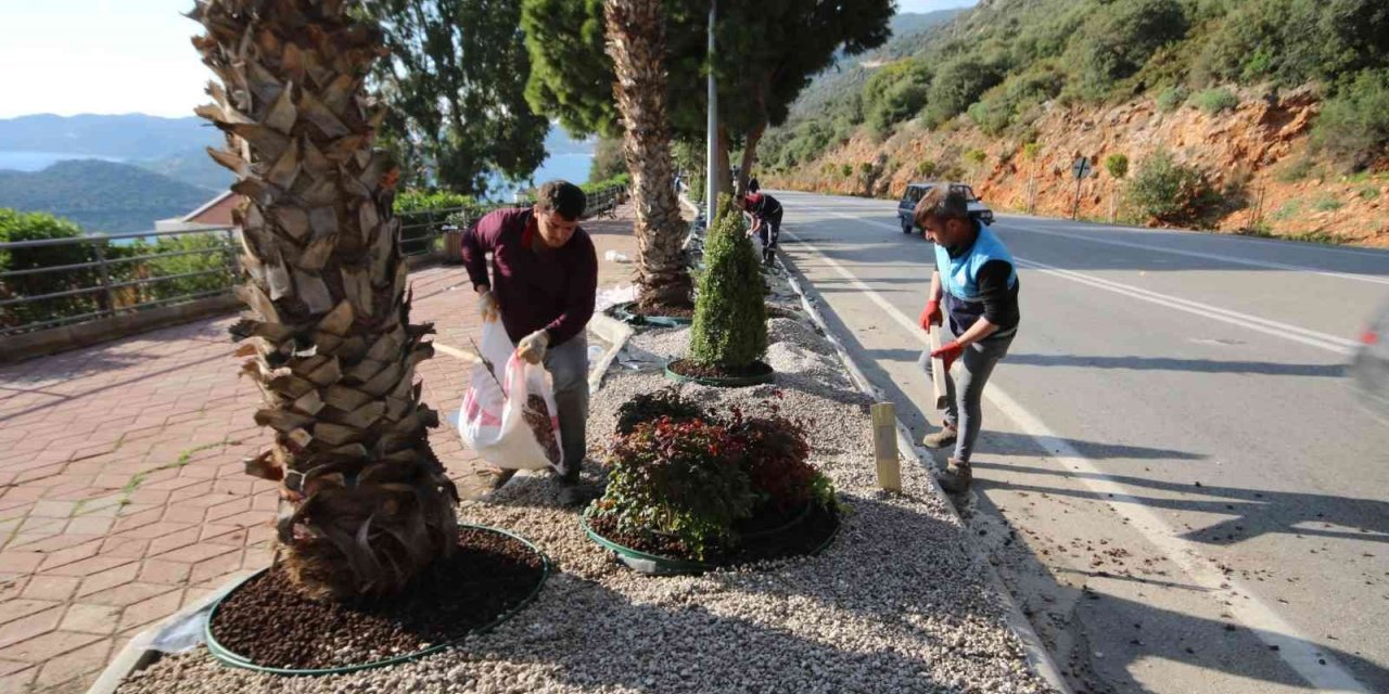 Kaş’ta peyzaj çalışmalarında 4 bin 625 bitki dikildi