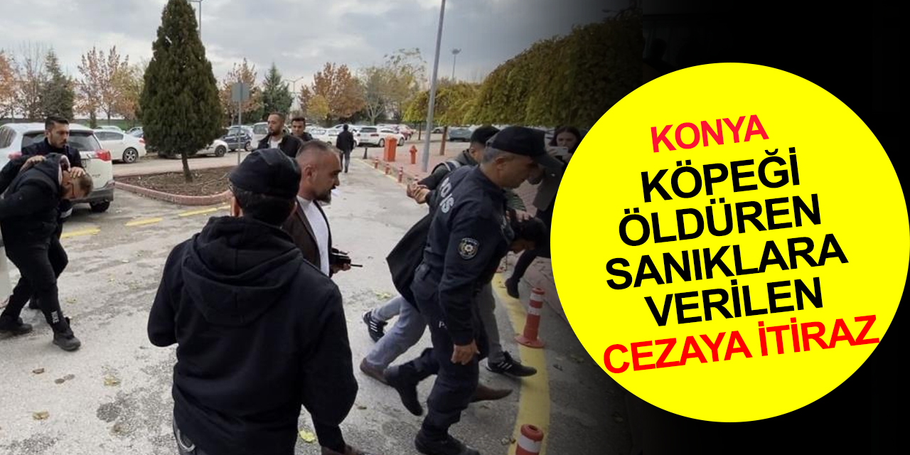 Konya Cumhuriyet Başsavcılığı'ndan köpeği öldüren 2 sanığa verilen cezaya itiraz