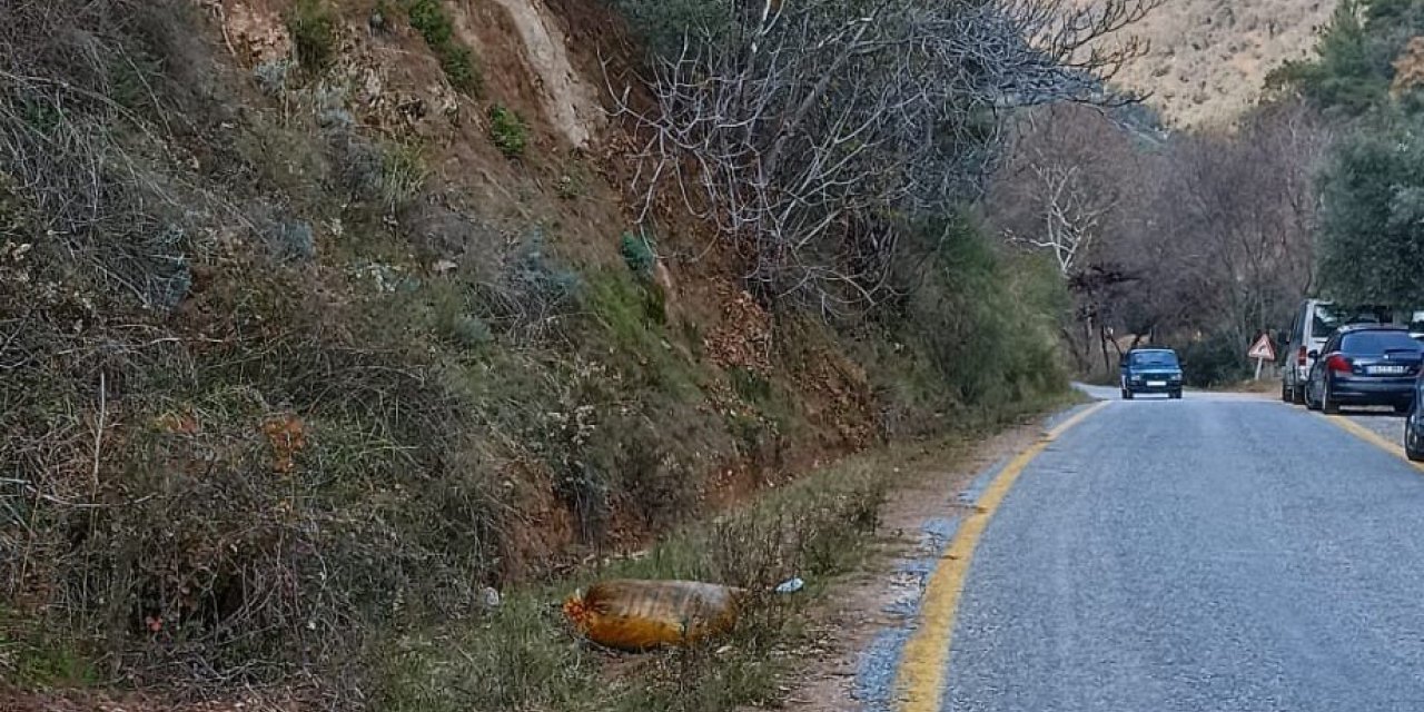 Zeytin hırsızı jandarmadan kaçamadı