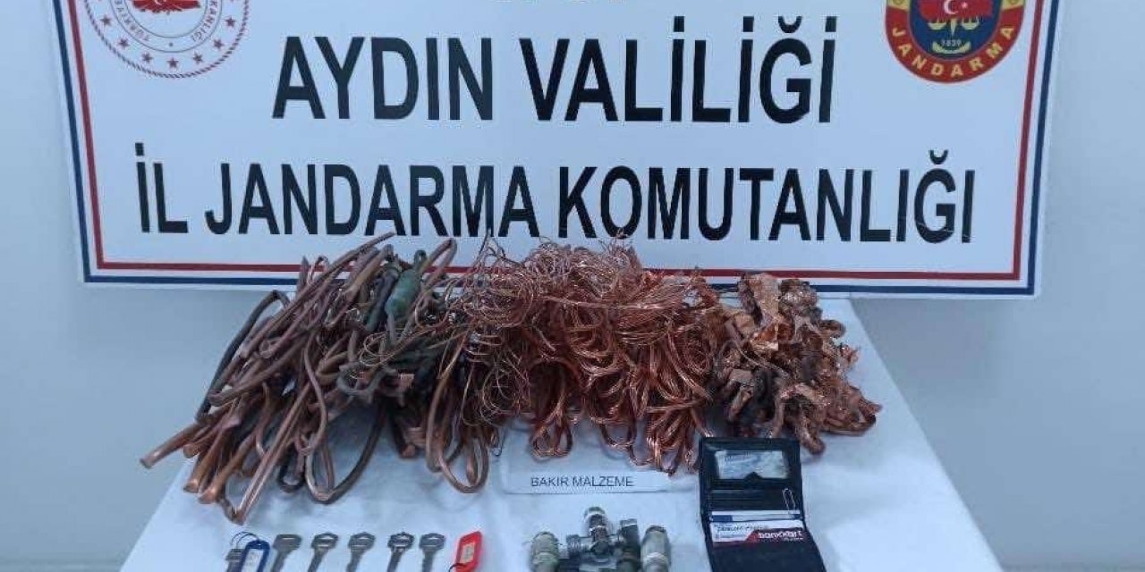 Jandarma şüphesinde haklı çıktı, hırsızları yakaladı