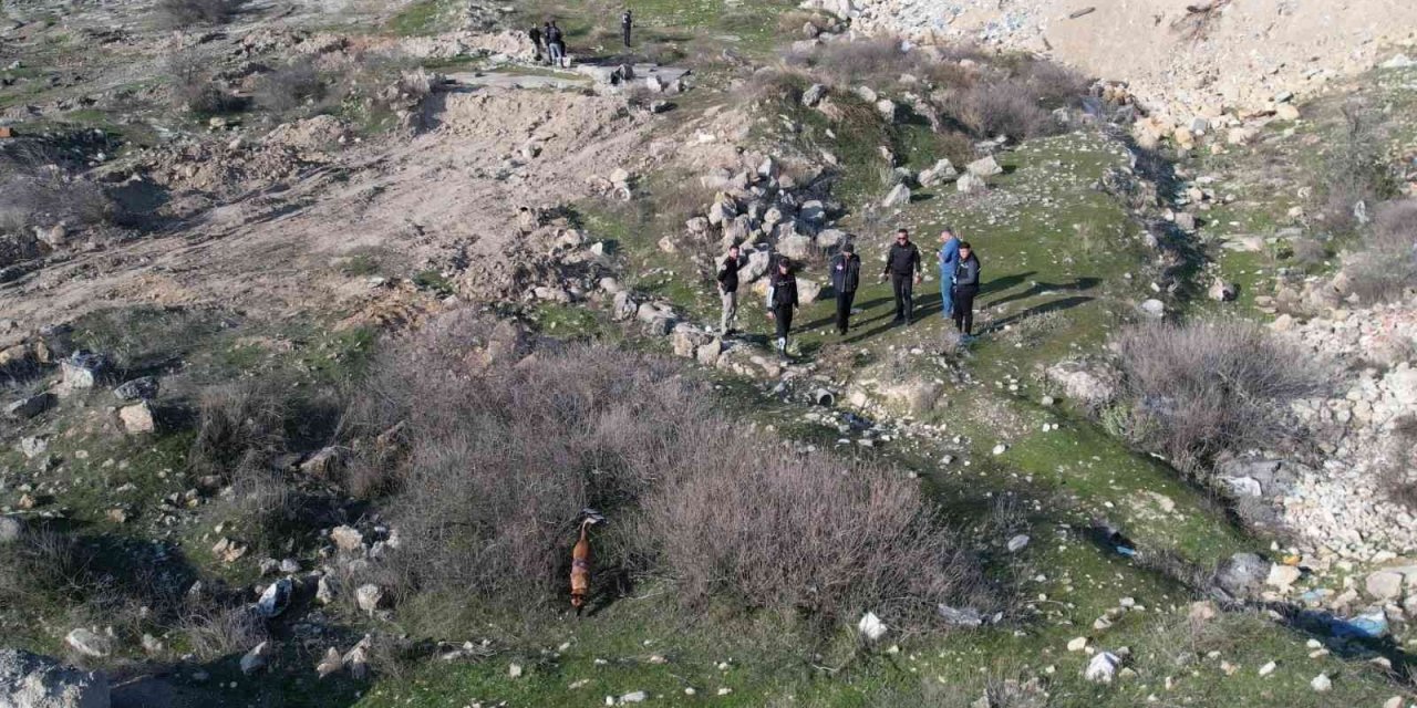 Kayıp Mine kadavra köpekleriyle aranıyor