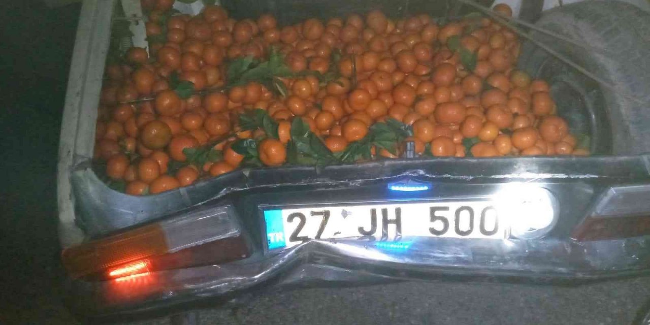 Yakalanacaklarını anlayınca narenciyelerle dolu araçlarını bırakıp kaçtılar
