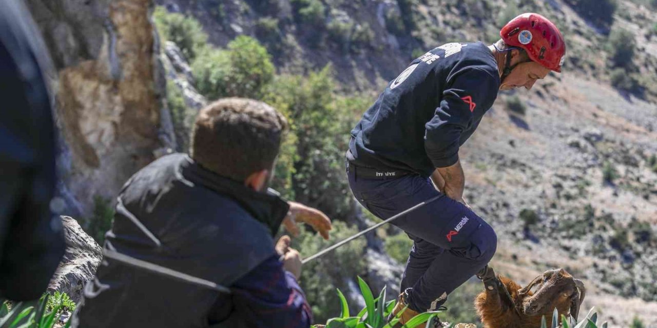 Mahsur kalan 3 keçiyi itfaiye kurtardı