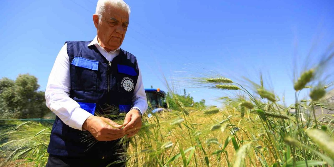 Büyükşehir’den tarım ve hayvancılığa destek