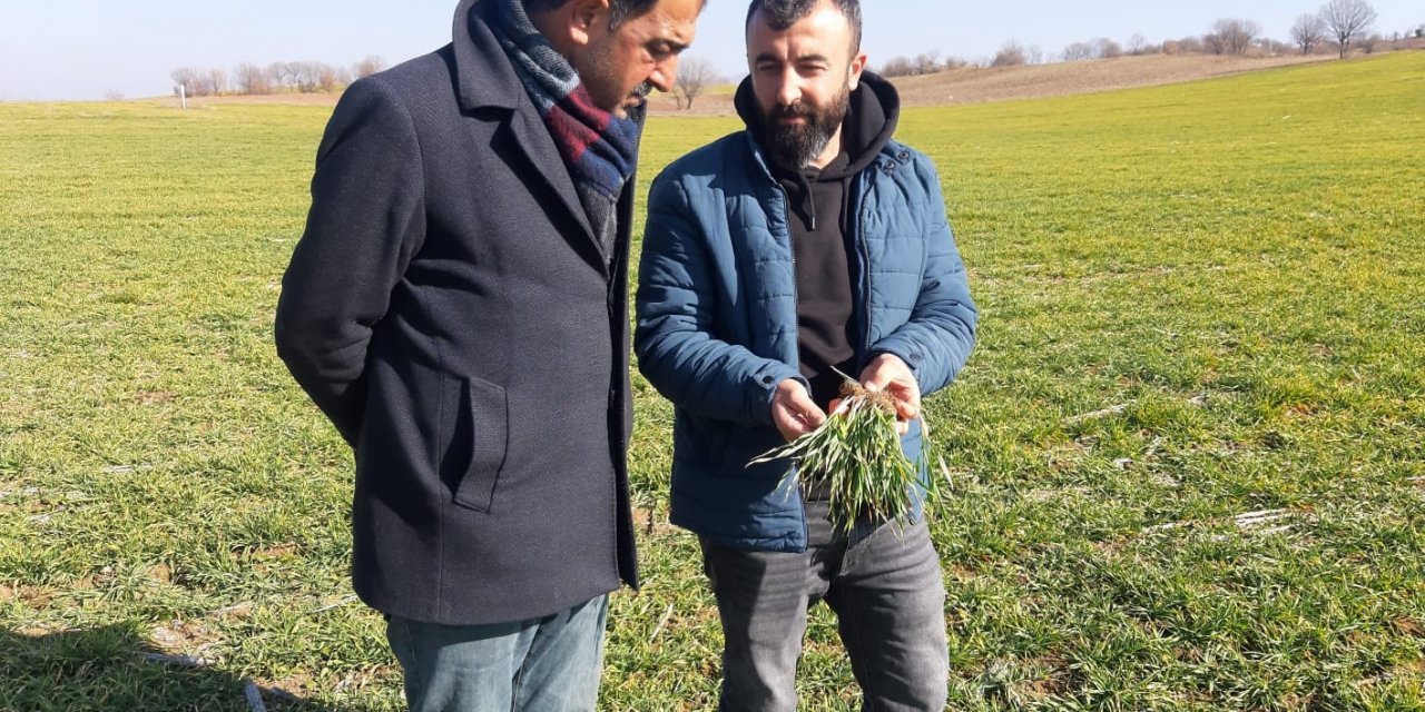 Gölbaşı’nda çiftçilerin kuraklık endişesi