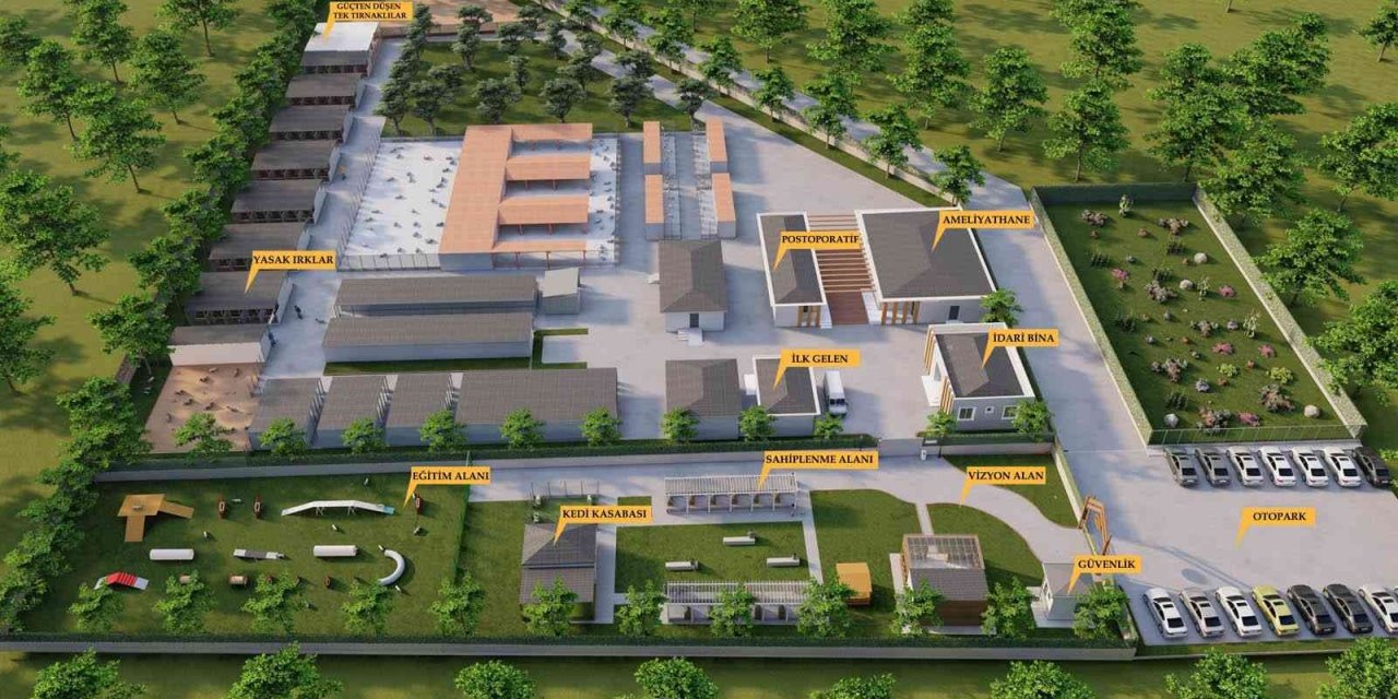Bafra’ya 11 bin metrekarelik sokak hayvanları bakım merkezi