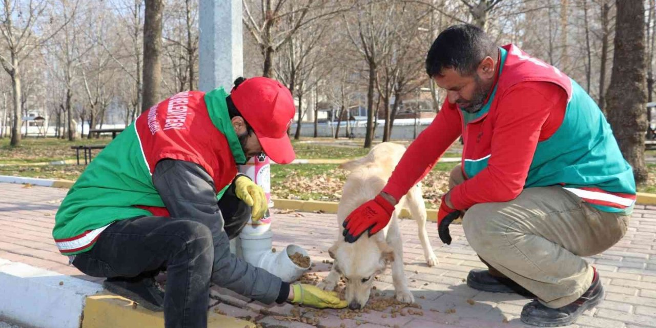 Karaköprü’de sokak hayvanları için dönüştürülmüş kaplar