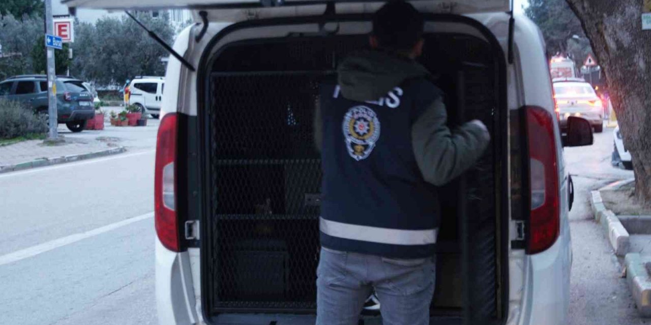 Bursa’da hırsızlıktan 9 kişi tutuklandı