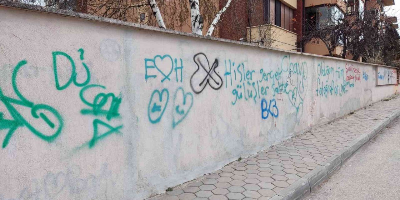 Site duvarları adeta resim tahtasına döndü