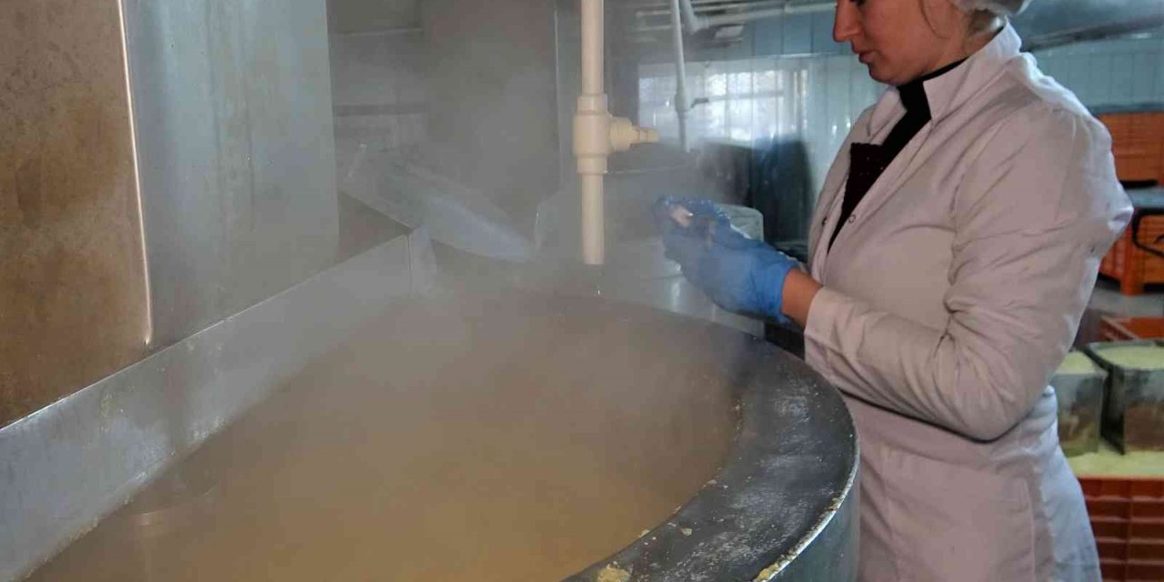 Günde 60 ton üretiyor...Tam bir şifa kaynağı