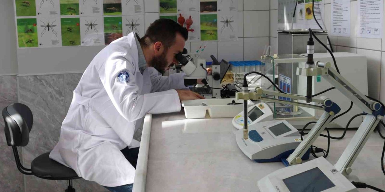Sinekle mücadele laboratuvara taşındı