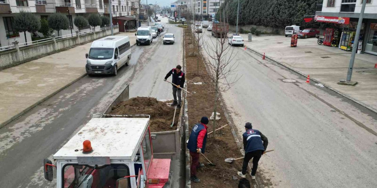 Milyonlarca çiçek diktiler