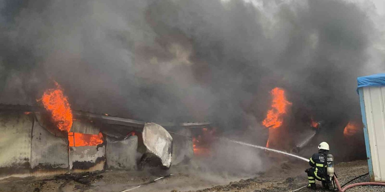 Tekirdağ’da korkutan yangın