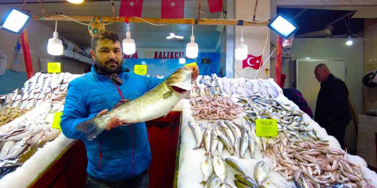 İzmir Foça tezgahlarında levrek bolluğu