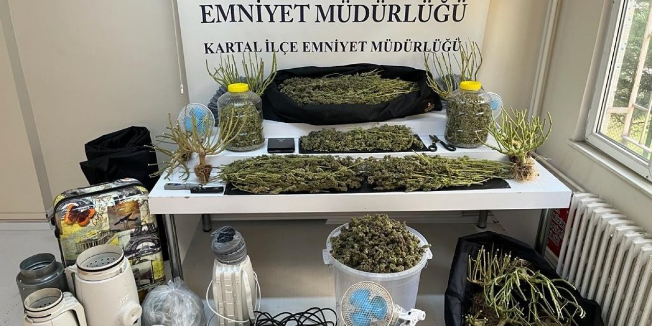 Kartal’da uyuşturucu serasına çevrilen evde 10 kilo marihuana ele geçirildi