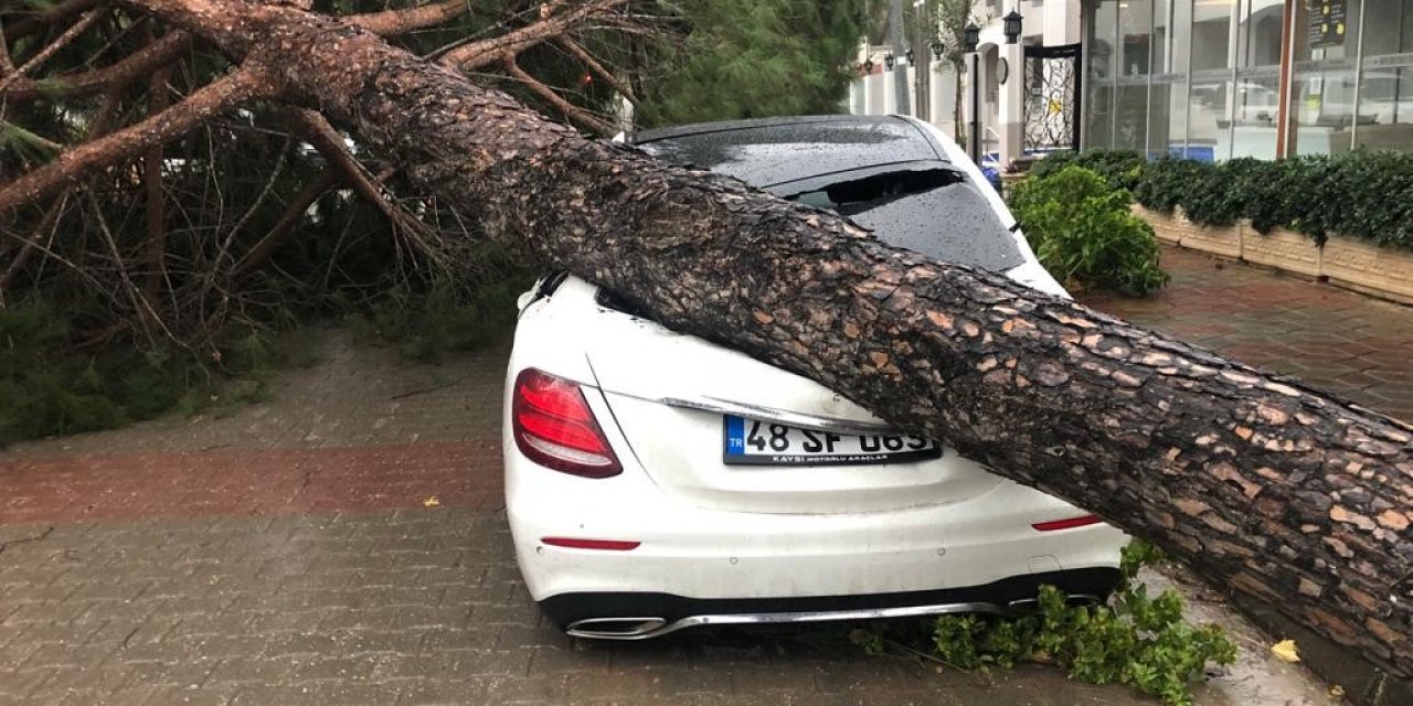 Fırtına ağaçları devirdi, lüks araç ve bir ev zarar gördü