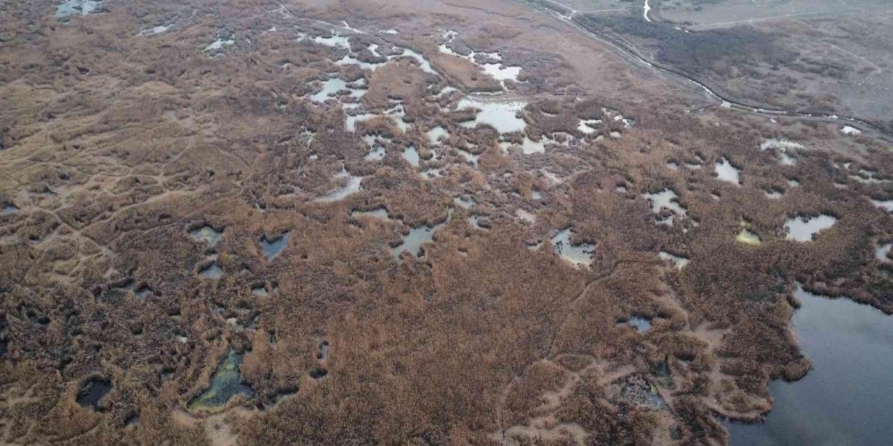 Eber Gölü için kuraklık alarmı!
