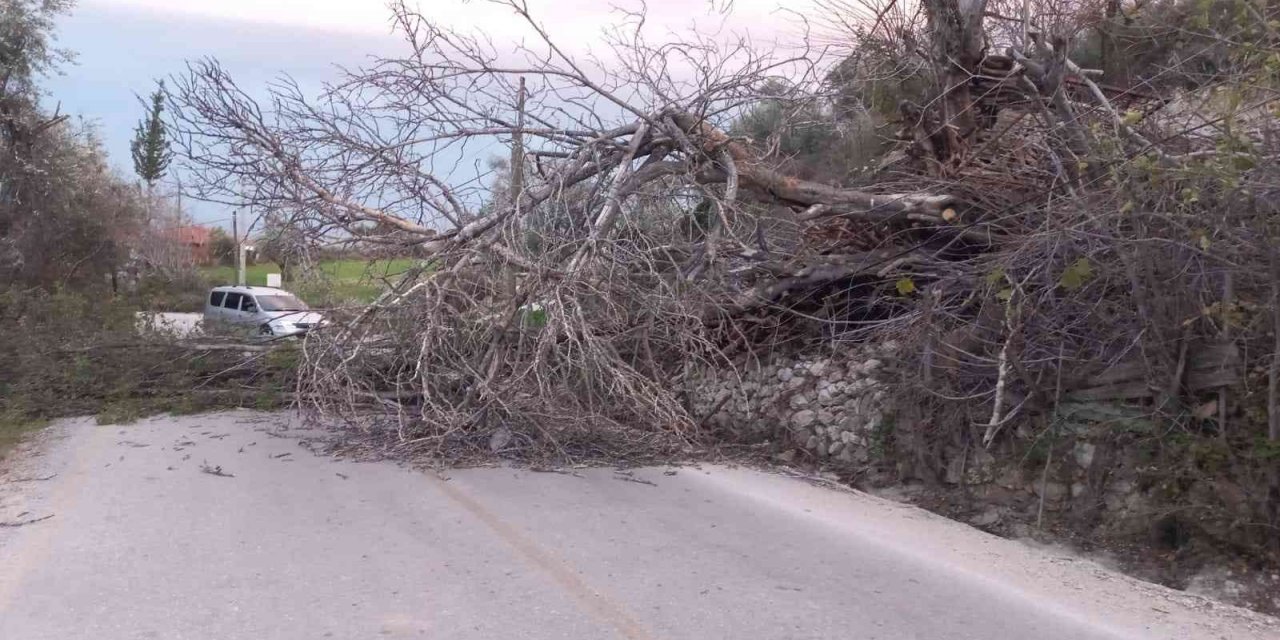 Seydikemer’de fırtına etkili oldu