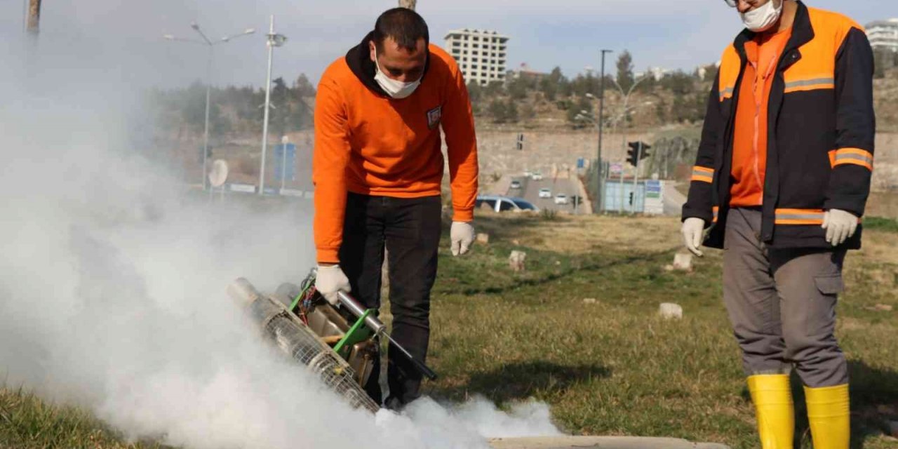 Şanlıurfa’da vektör ile mücadele sürüyor