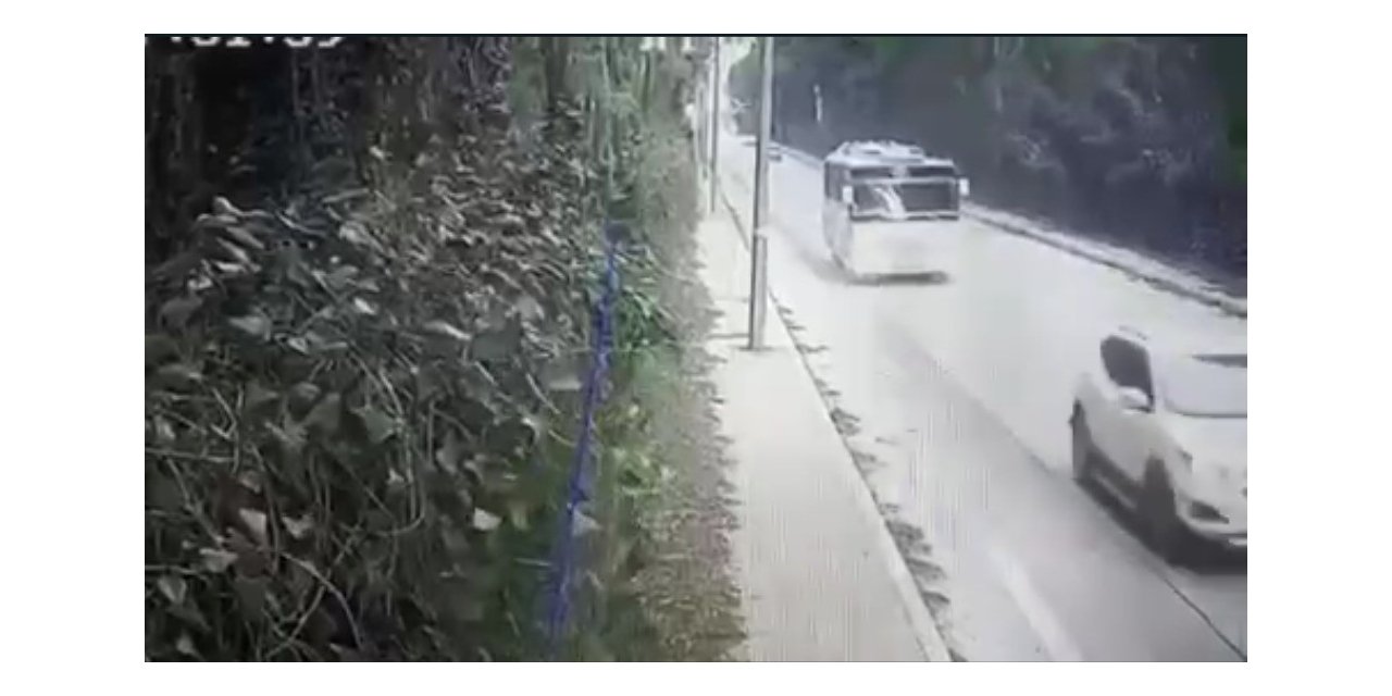 Fırtınanın devirdiği ağaç faciaya sebep oluyordu