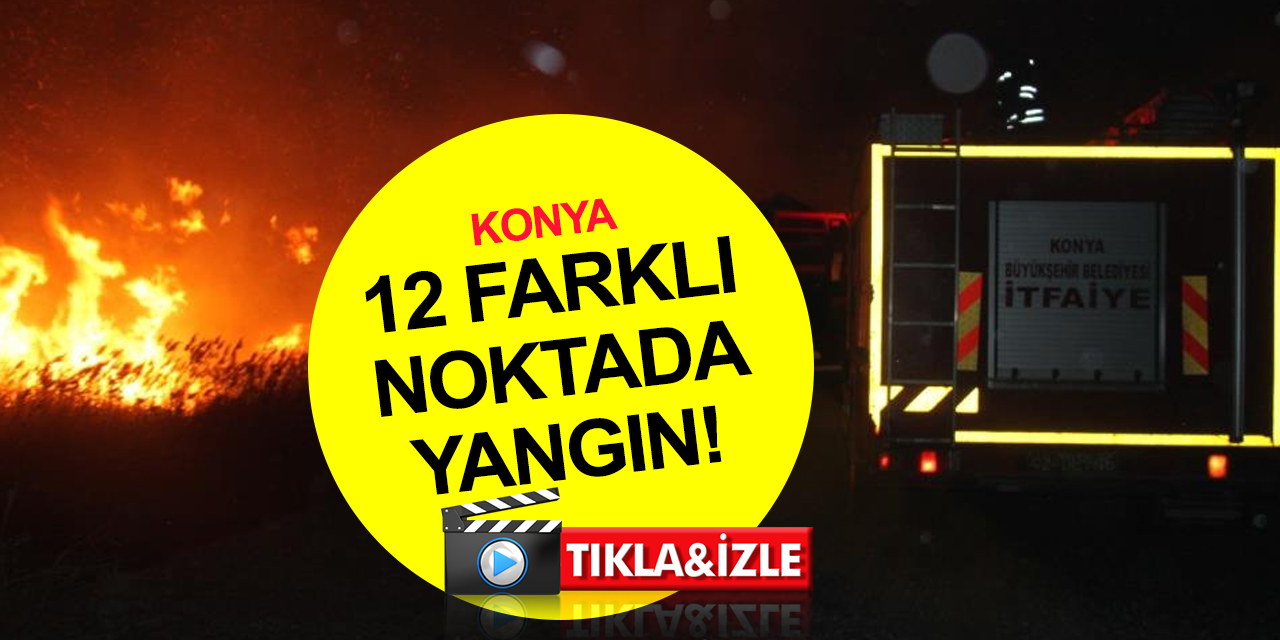 Konya'da 12 farklı noktada aynı anda sazlık yangını! Daha önce de ateşe verilmişti!