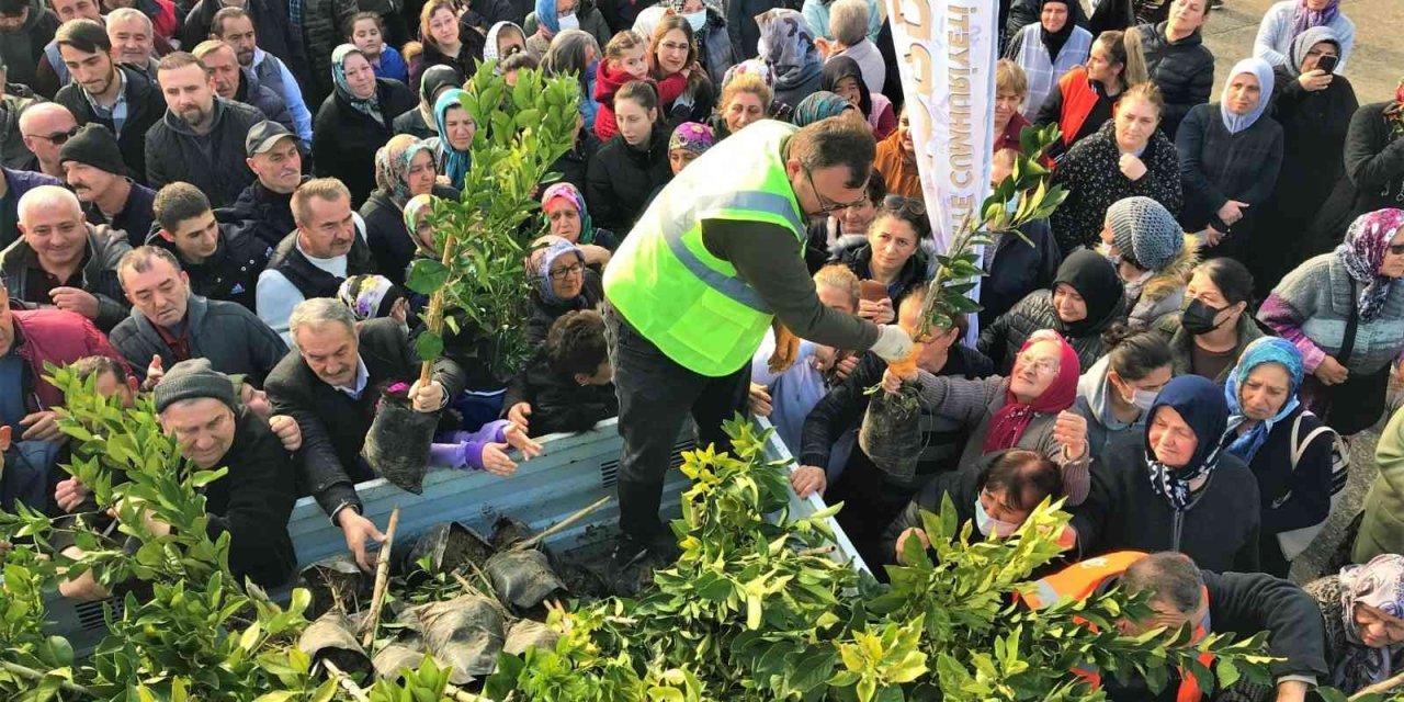 Altınordu Belediyesi 341 bin fidanı toprakla buluşturdu