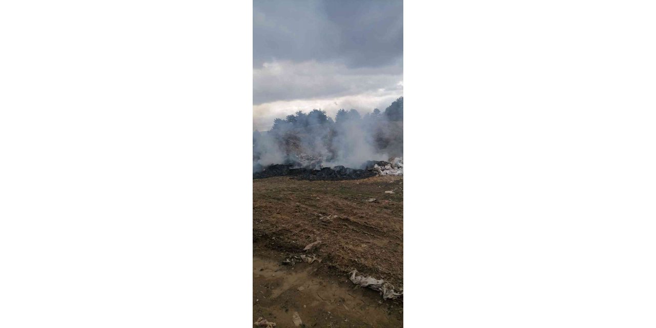 Ormanda yanan çöpler ekipleri harekete geçirdi