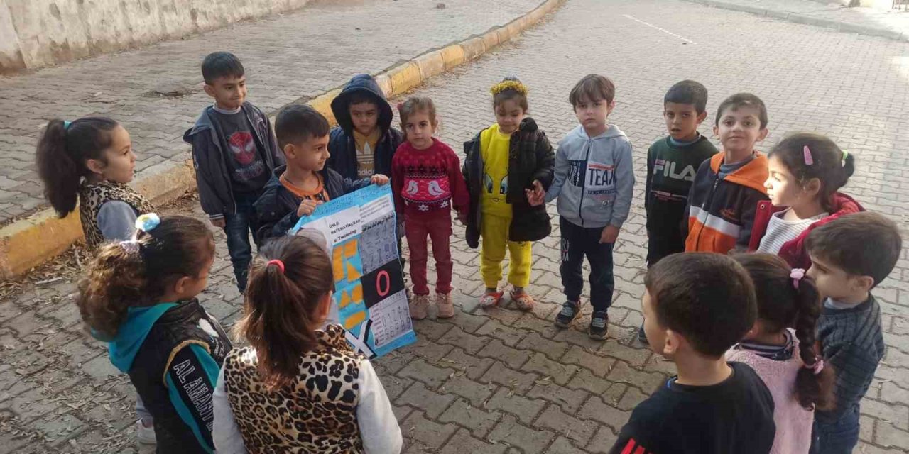 Okul öncesi öğrencileri matematiği doğada öğreniyor