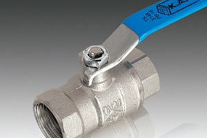 Kadın bağırsağından bu da çıktı!