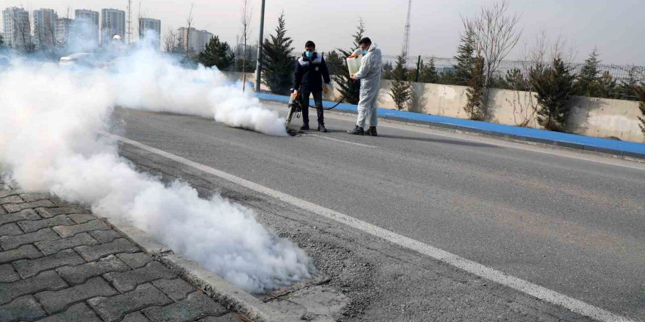 Talas’ta sinek ve haşerata erken önlem