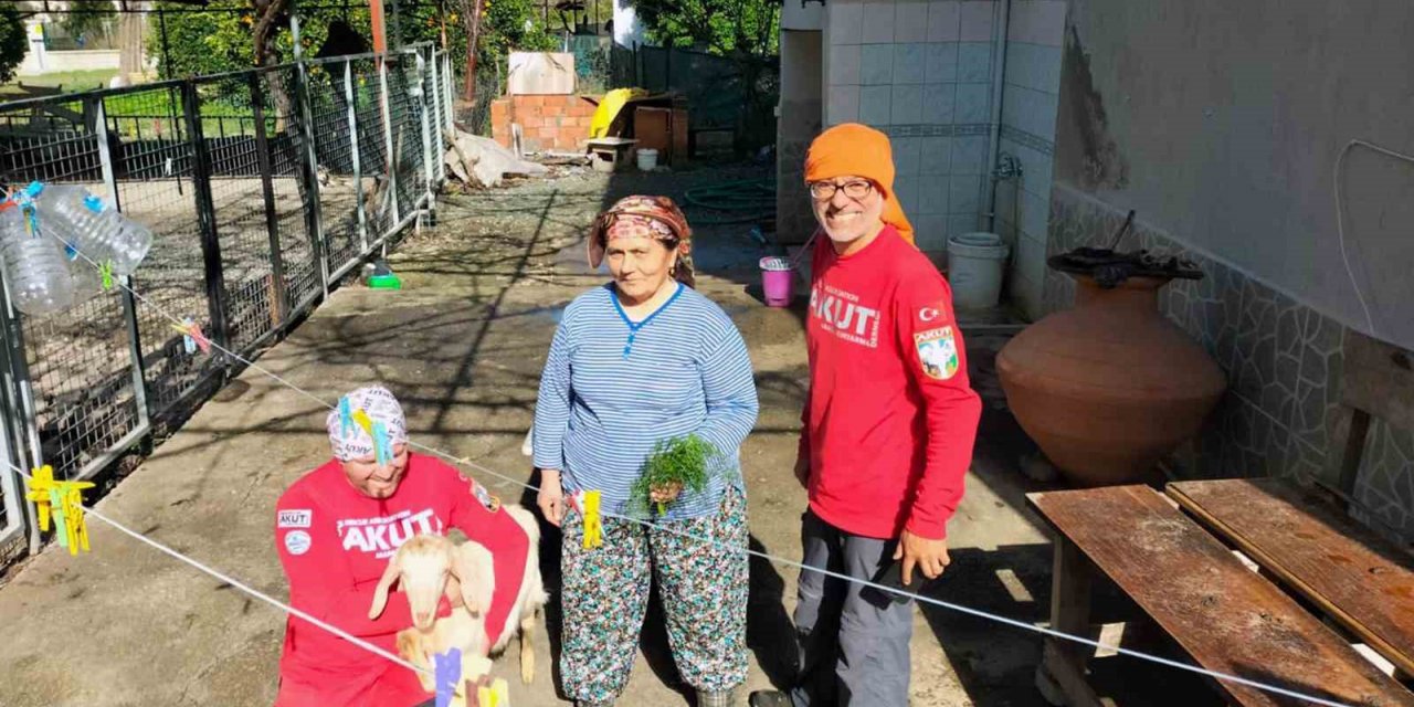 Sarp bölgede mahsur kalan keçiyi AKUT kurtardı