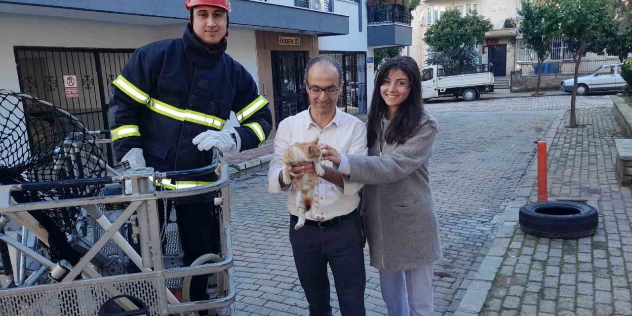 Ağaçta mahsur kalan kedinin imdadına itfaiye ekipleri yetişti