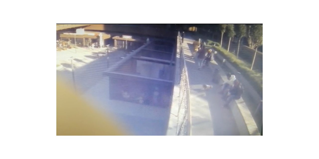 Şişlide cins köpek hırsızlığı kamerada: Köpek, polis baskınıyla kurtarıldı