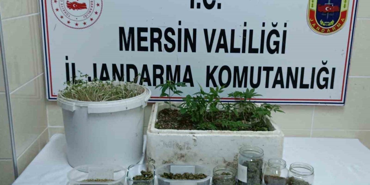 Mersin’de uyuşturucu operasyonu: 1 tutuklu
