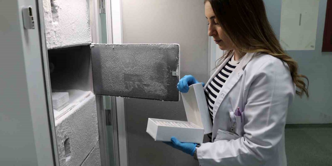 Hastalıkların tespitinde en iyi rehber: Genetik analizler