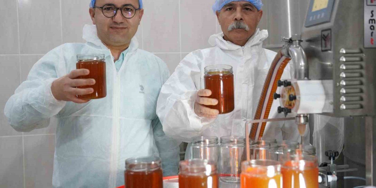 Doğal bal da ’TA’ damgası yol gösterici olacak