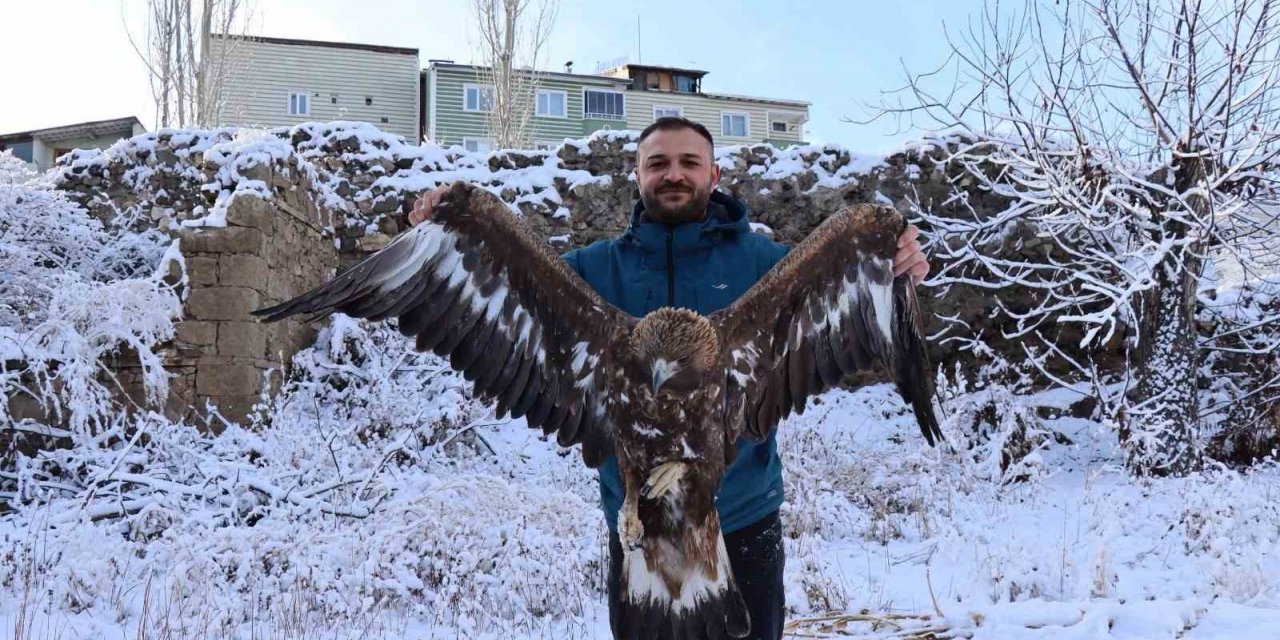 Uçamayan kartalı arabasına alıp tedavi için ilçeye getirdi