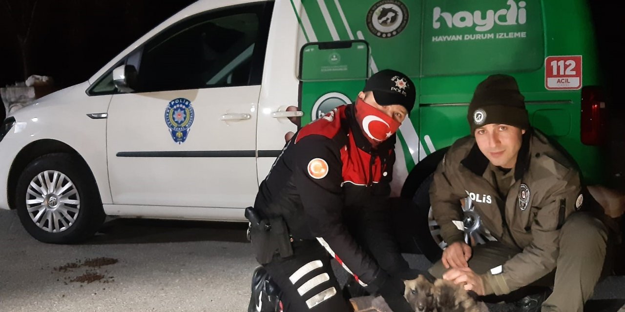 Havaların soğuduğu Uşak’ta sokak canlıları unutulmadı